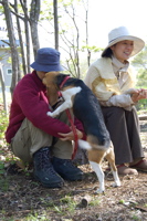 庭に市のたった日。_d0028589_22374993.jpg