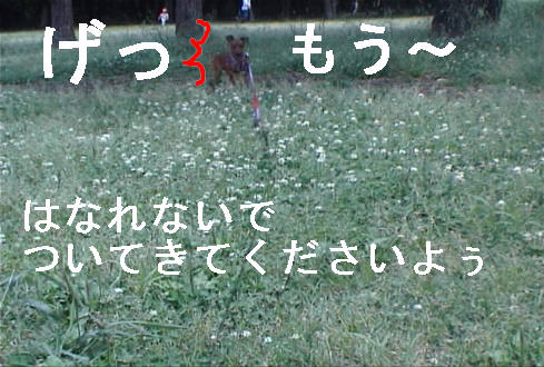 f0123589_16514658.jpg