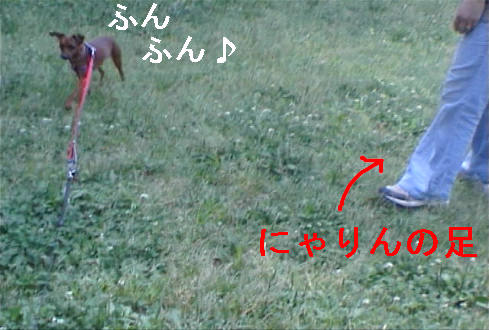 f0123589_17017.jpg