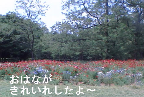 f0123589_17204011.jpg