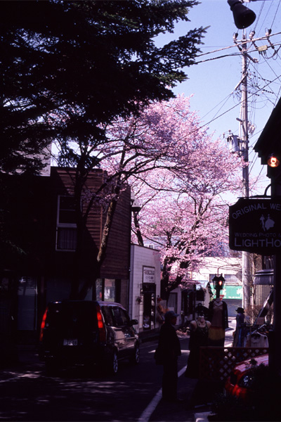 b0043304_23131166.jpg