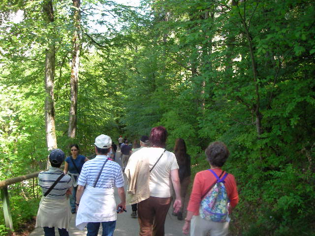 f0038407_8283914.jpg