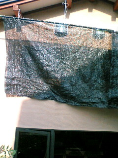 f0061414_1617278.jpg