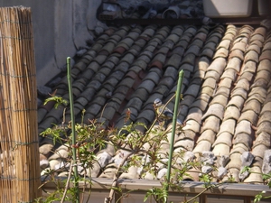 f0133814_1094918.jpg