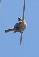 f0133814_9122726.jpg