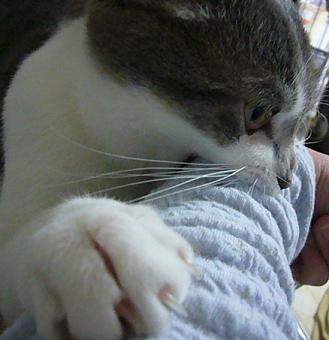 あれは絶対に不良品_f0002743_13213110.jpg