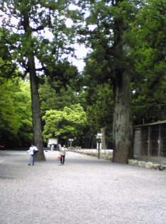 f0063944_14233470.gif