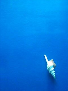 e0079749_015584.jpg