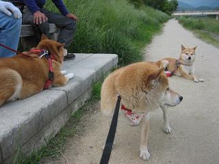 続く晴天_c0049950_18434020.jpg