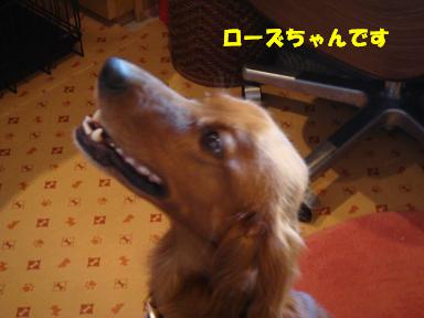 f0046854_2051202.jpg