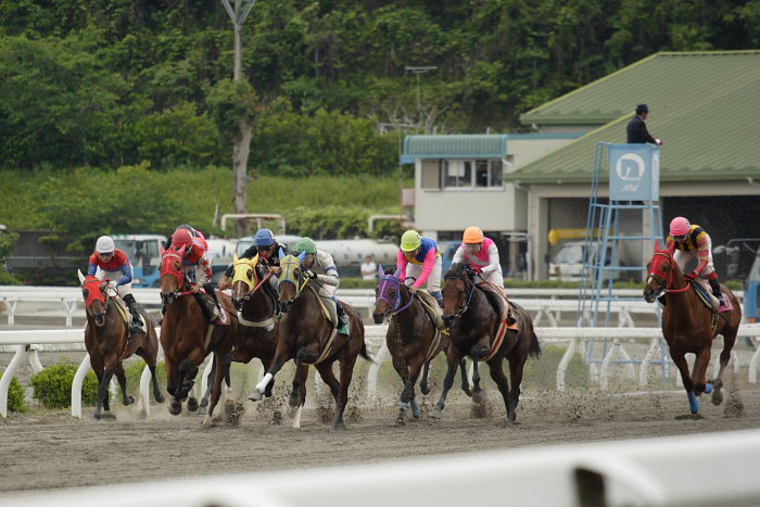 高知競馬ブログ中止！？_a0077663_1952634.jpg