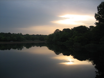 f0135575_113748.jpg