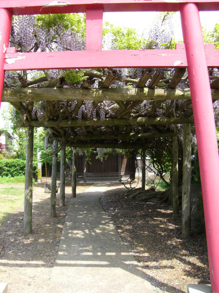 藤稲荷神社_f0090602_0522675.jpg