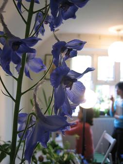 f0048134_3221387.jpg