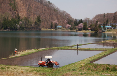 中綱のきれいな季節_c0002943_1537264.jpg