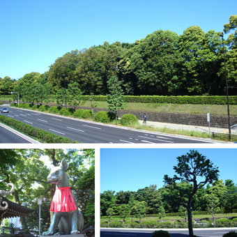 緑が美しい「東京・旅日誌」。_d0091747_2233551.jpg