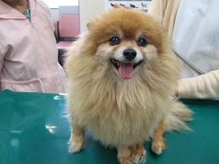 ラッキーのラッキーたる所以_b0059154_1042387.jpg