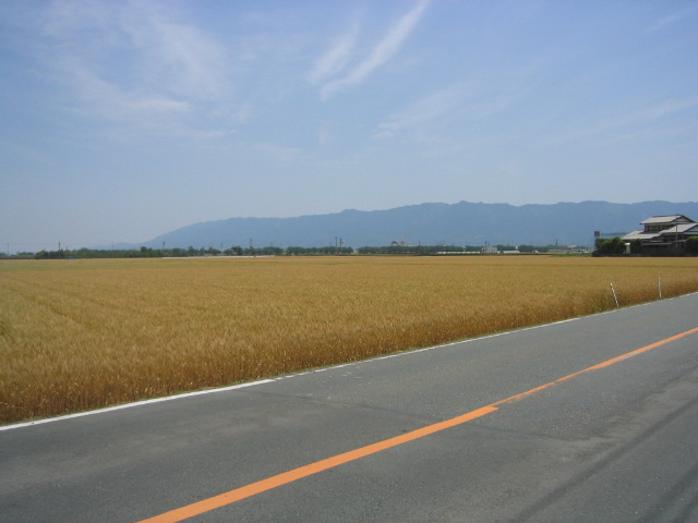a0027555_14452659.jpg