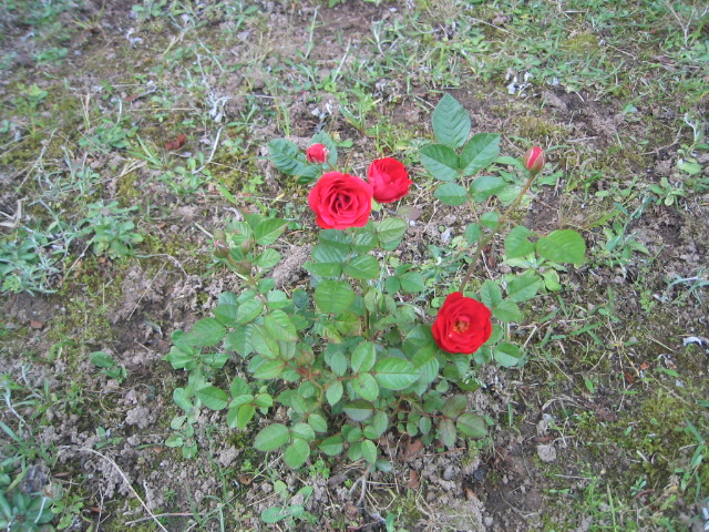 a0027555_14482518.jpg