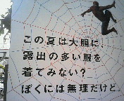 クモ男の憂鬱_b0012955_131317.jpg