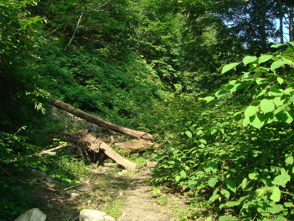 田沢湖スーパー林道 秋田市河辺岩見新川 宗谷峡 仙北市西木町上比木内 Naturalscenery Alive 田沢湖スーパー林道 秋田市河辺岩見新川 宗谷峡 仙北市西木町上比木内 Naturalscenery Alive