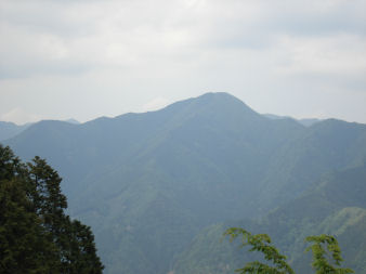 d0059661_1431624.jpg