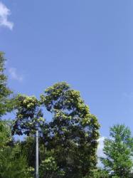 f0055264_2240508.jpg