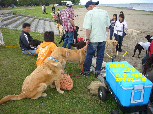 琵琶湖オフ１日目_f0057565_1839930.jpg