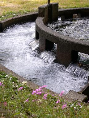 名水の里“竹田市”（大分県竹田市）_c0099967_131218.jpg