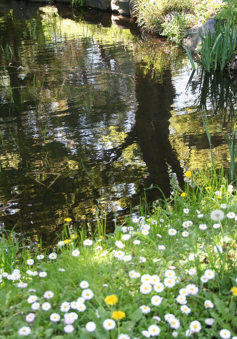 ２００７　松前の桜・７_c0112479_2129547.jpg