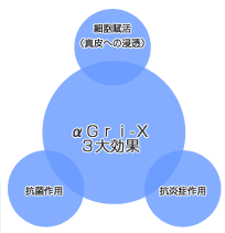 d0091286_1221214.gif
