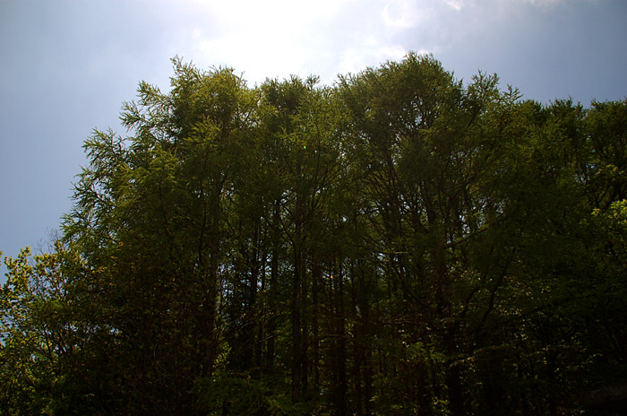 a0086387_085911.jpg
