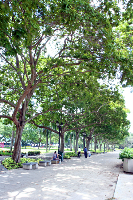 c0025895_6335268.jpg