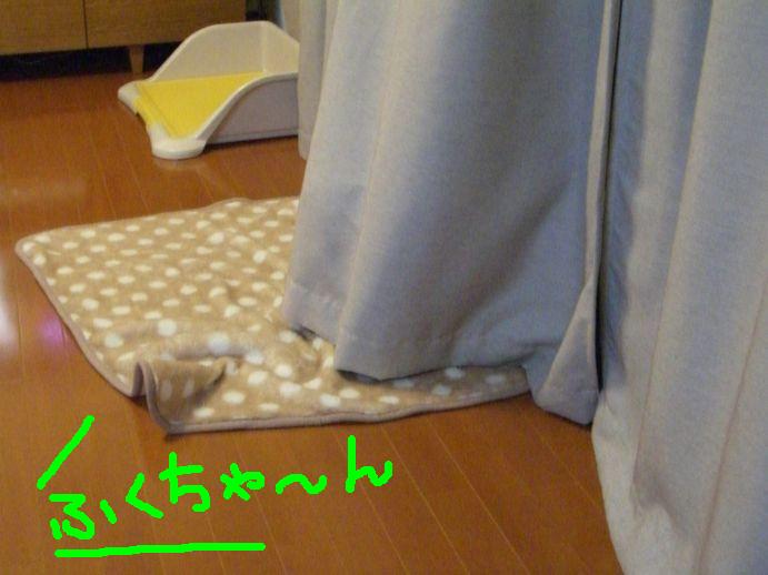 c0113109_2324990.jpg