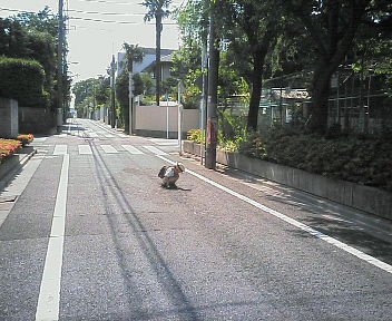 気付いてしまったこと_c0003214_13183340.jpg