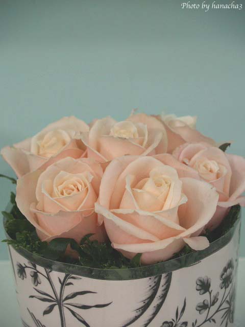 Nouvelles roses！Vol.2 　　　　　　　　　　　　　　　　@第9回 国際バラとガーデニングショウ_b0032921_16412920.jpg