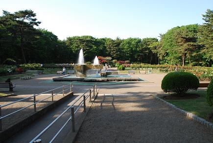 c0115121_21112939.jpg