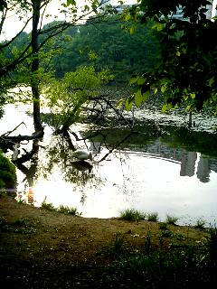 c0025422_14492789.jpg