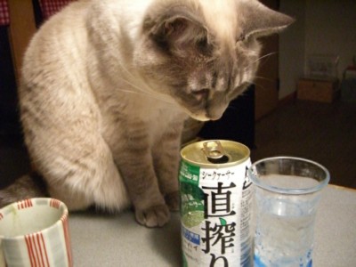 てへへ(^^;ゝ_c0006826_731559.jpg