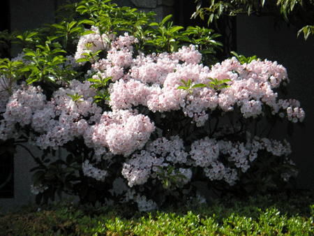 d0049135_2321927.gif