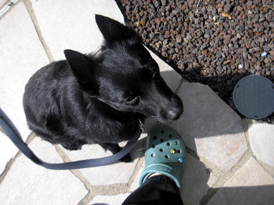d0049135_2343288.gif