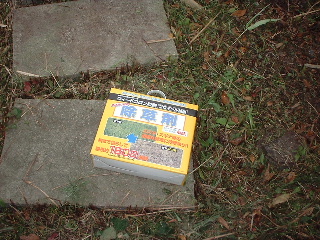 f0031037_1238428.jpg