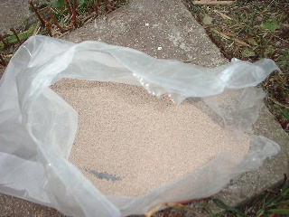 f0031037_12384748.jpg