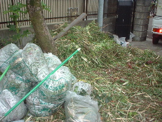 f0031037_1239734.jpg