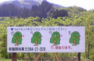 ＳＧＥＣ森林認証、秋田県第一号_f0081443_203057100.jpg