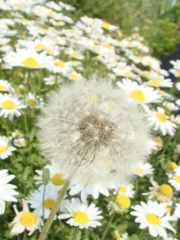 f0077051_0344017.jpg