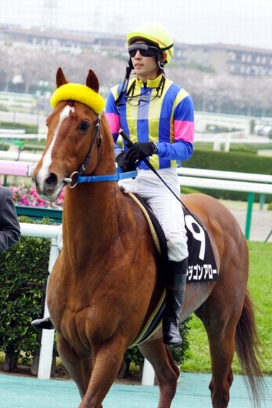 現役の頃 マオイホースパークの日記