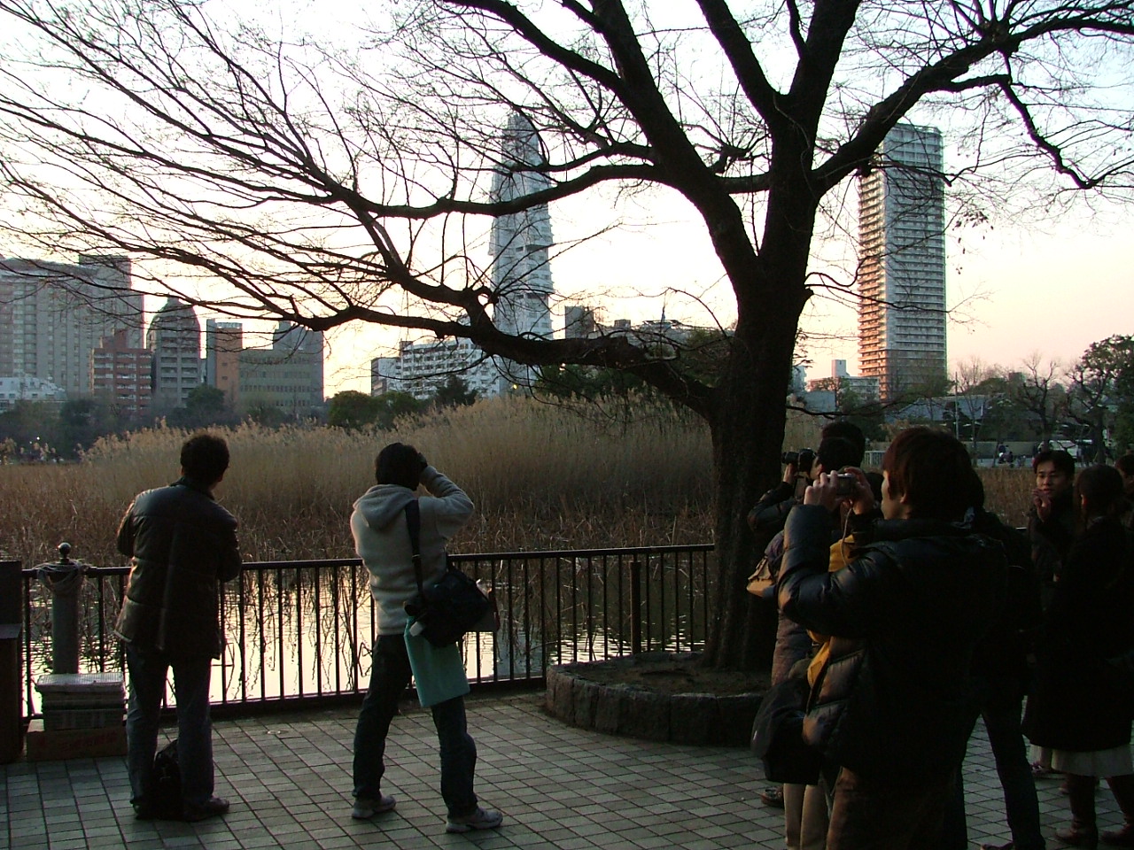 上野 不忍池周辺は 多分駄文のオジサン旅日記