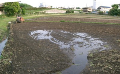 畑から水田へと姿を変える途中：国立市_c0112172_09446.jpg