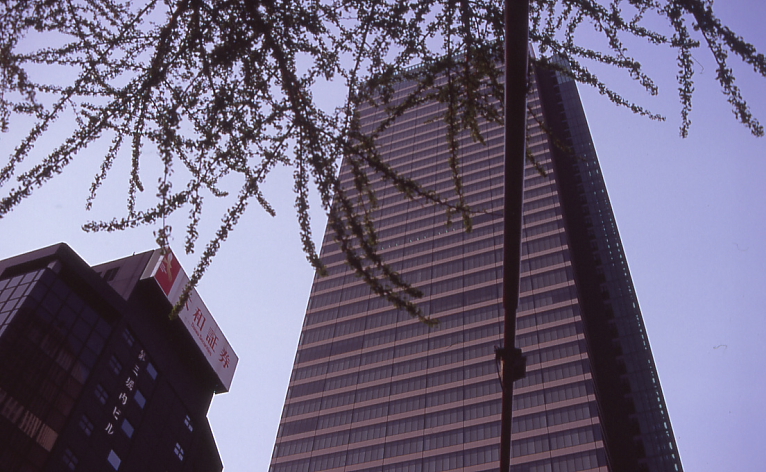 c0030874_710359.jpg